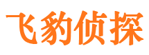 镇康市私家侦探